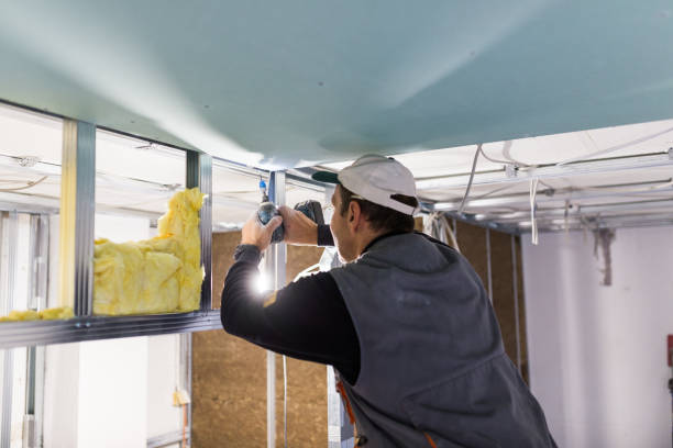 Best Insulation Contractor Near Me  in Cherryvale, SC