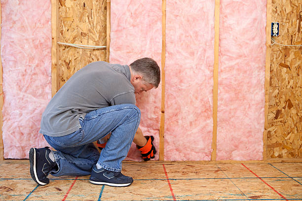 Best Insulation Replacement Services  in Cherryvale, SC