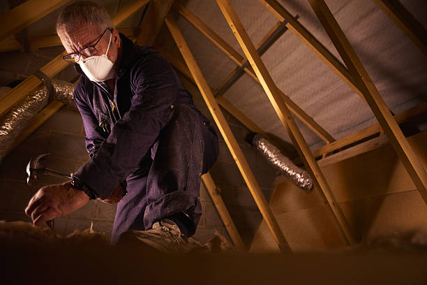 Professional Insulation Contractor in Cherryvale, SC